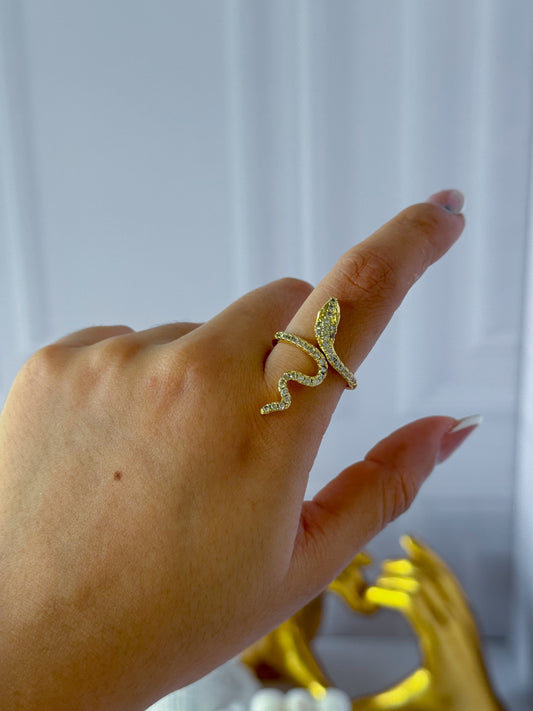Anillo serpiente
