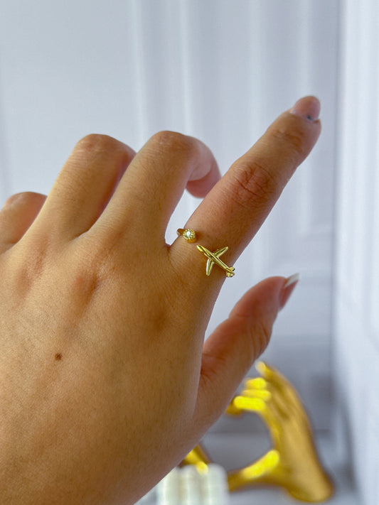 Anillo avión
