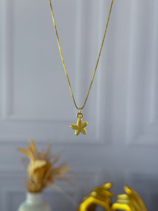 Cadena estrella de mar pequeña